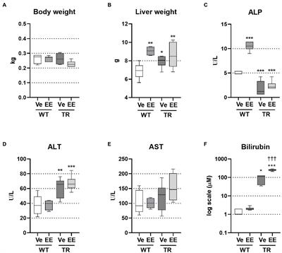 Multidrug Resistance-Associated Protein 2 Deficiency Aggravates Estrogen-Induced Impairment of Bile Acid Metabolomics in Rats